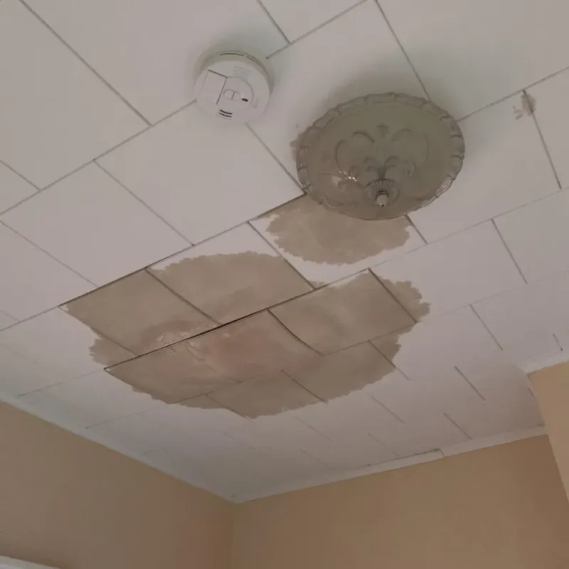 Ceiling Water Damage Repair in Mount Holly, VT