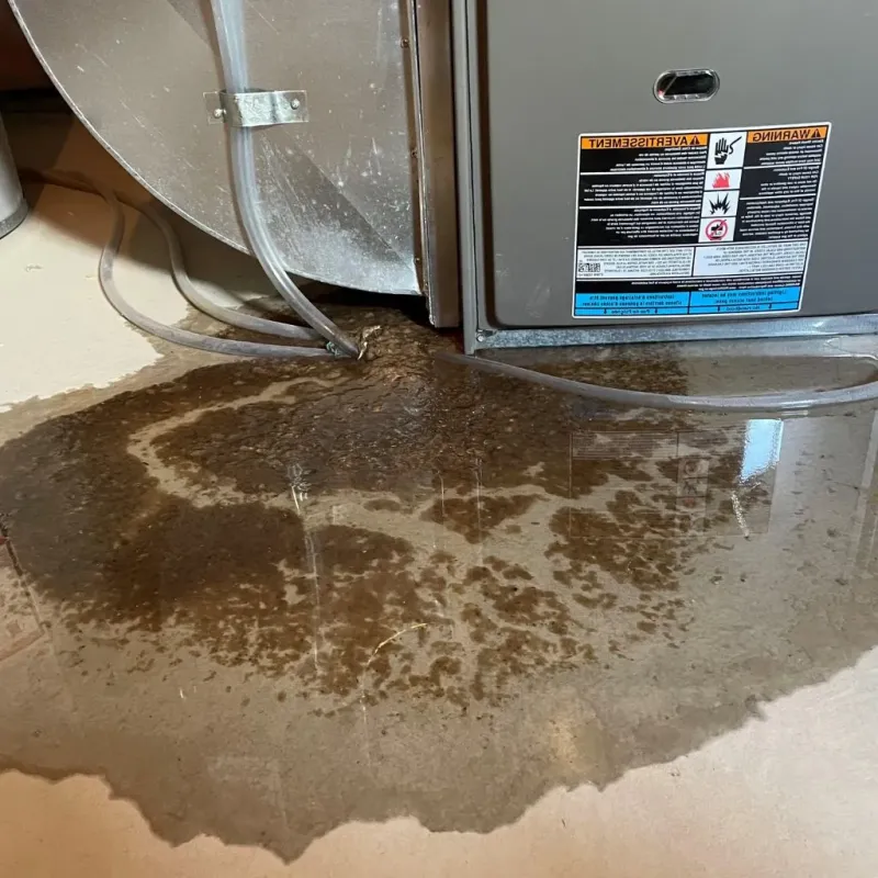 Pipe Burst and Leak Restoration in Mount Holly, VT