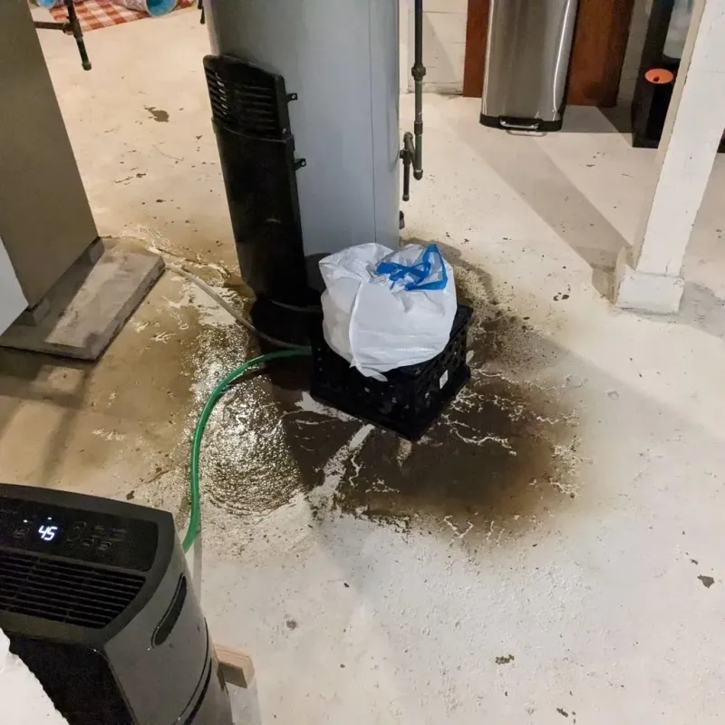 Sewage Backup Cleanup Service in Mount Holly, VT